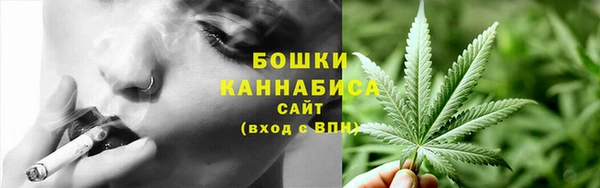 стаф Баксан