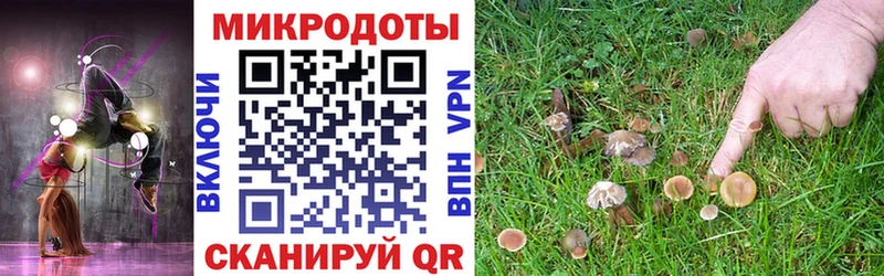гидра зеркало Новосокольники Галлюциногенные грибы мухоморы закладка